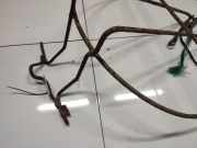 Halteband Kraftstoffbehälter Opel Combo C 2001 - 2011 Gebraucht ,