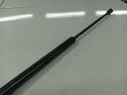 Gasdruckfeder Kofferraum Renault Scenic, I 1996.01 - 1999.09 Gebraucht,