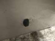 Waschwasserdüse Scheibenreinigung Toyota Avensis, II 2003.04 - 2006.03 Gebraucht,