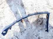 Schutzleiste Tür - Vorne Rechts Lexus IS, II 2005.10 - 2013.03 6766353010,