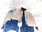 Radhausschale - Hinten Rechts Volkswagen Golf, IV 1997.08 - 2003.10 1j0810972, AHF