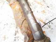 Lenkgetriebe Citroen Xsara, I 1997.04 - 2000.09 LHD,