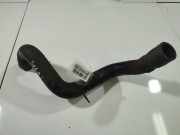 Kühlerschlauch Opel Signum, 2003.05 - 2008.06 Gebraucht,