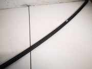 Zierleiste Leiste - Vorne Linke Audi A3, 8L 1996.09 - 2000.10 Gebraucht,