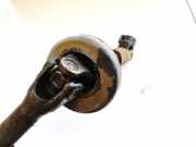 Lenks?ule unten Kreuzgelenk Nissan Primera, P12 2002.01 - 2008.12 48981av610,