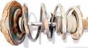 Fahrwerksfeder vorne Nissan Primera, P12 2002.01 - 2008.12 Gebraucht,
