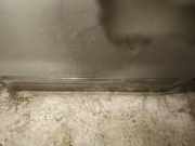 Zierleiste Tür Zier-Schutzleiste - Hinten Linke Citroen C5, II 2008.02 - 2011.01 Gebraucht,