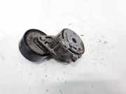 Spannrolle Peugeot 307, 2000.08 - 2005.06 Gebraucht,