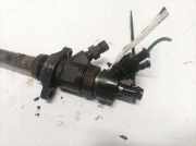 Einspritzdüse Citroen Jumpy, II 2007.01 - 2016.02 0445110239,