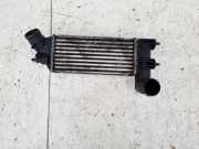 Ladeluftkühler Peugeot 607, 2004.07 - 2010.12 facelift Gebraucht,