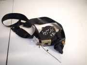 Sicherheitsgurt - Hinten Linke Citroen C8, I 2002.07 - 2008.06 b507743,