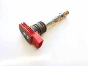 Zündspule Audi A4, B6 2000.11 - 2004.11 06C905115L,06C905115L 12433ESM L1H21C