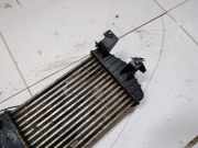 Ladeluftkühler Nissan Primera, P12 2002.01 - 2008.12 Gebraucht,