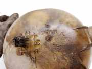 Ausgleichsbeh?lter Fiat Stilo, 2001.10 - 2007.01 46797121,46797121 C555