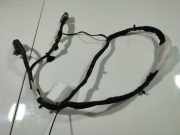 Kabelbaum Peugeot 1007, 2005.04 - 2009.12 Gebraucht ,