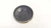 Blende Scheinwerfer - Vorne Renault Scenic, II 2003.06 - 2006.06 153874,153874