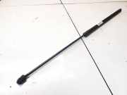 Gasdruckfeder Kofferraum Volkswagen Golf, V 2003.10 - 2008.10 Gebraucht,