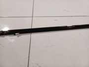 Zierleiste Leiste - Vorne Rechts Renault Scenic, II 2003.06 - 2006.06 Gebraucht ,