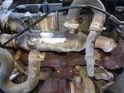 Abgask?hler AGR-K?hler Peugeot 307, 2000.08 - 2005.06 9639874380,