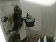 T?rfangband T?rbremse T?rstopper - Vorne Rechts Renault Trafic, X83 2001.03 - 2006.08 Gebraucht,