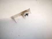 Innenraumleuchte Opel Astra, G 1998.09 - 2004.12 Gebraucht,