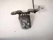 T?rscharnier Vorne Renault Vel Satis, 2002.06 - 2009.12 Gebraucht,