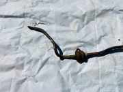 Stabilisator Stabi Hinten Hinterachse Kia Carens, 2006.09 - 2013.03 Gebraucht,