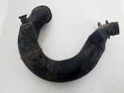 Schlauch für Luftversorgung Peugeot 406, 1995.11 - 1999.03 9622356980,