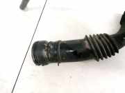 Schlauch für Luftversorgung Renault Scenic, I 1996.01 - 1999.09 Gebraucht ,