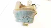 Ausgleichsbehälter Renault Laguna, II 2001.03 - 2006.05 8200008864,8200 008 864 8200008864 8200 008 864 B 8200008864B 8200008864C