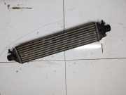 Ladeluftkühler Fiat Bravo, 2006.11 - 2014 Gebraucht,