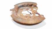 Spritzblech für Bremsscheibe - Hinten Linke Citroen C4 Picasso, I 2006.01 - 2013.06 Gebraucht,
