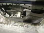 Türverkleidung - Hinten Linke Renault Scenic, II 2003.06 - 2006.06 Gebraucht,