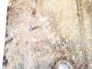 Motor-/Unterfahrschutz vorne Dacia Logan, I 2004.09 - 2009.03 Gebraucht,