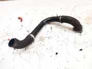 Intercooler Schlauch Renault Espace, III 1996.11 - 2002.10 8200119883,