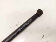 Gasdruckfeder Kofferraum Fiat Stilo, 2001.10 - 2007.01 21195,