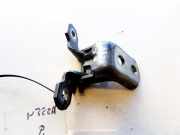 Türscharnier Vorne Renault Vel Satis, 2002.06 - 2009.12 Gebraucht,