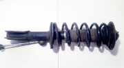 Fahrwerksfeder vorne Chevrolet Captiva, 2006.01 - 2011.06 Gebraucht,