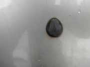 Waschwasserd?se Scheibenreinigung SAAB 9-5, 1997.09 - 2005.11 Gebraucht,