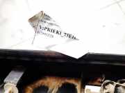 Kennzeichenleuchte Lexus RX, 2000.07 - 2003.05 Gebraucht,