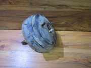 Bremskraftverstärker Mazda Xedos-9, 1993.07 - 1998.06 Gebraucht ,