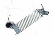 Ladeluftkühler Lancia Phedra 2002 - 2006 Gebraucht,