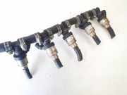 Einspritzleiste Gasanlage Jaguar X-Type, 2001.06 - 2007.11 67r010213,110r-004686