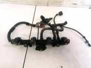 Kraftstoffverteiler Volkswagen Lupo 1998 - 2005 0280155919, AUC