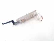 Innenraumleuchte Renault Laguna, III 2007.10 - 2010.11 8200024033,