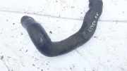 Intercooler Schlauch Audi A6, C5 1997.01 - 2001.08 4b0145746e,