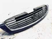 Kühlergrill Frontgrill Kühlergitter Daihatsu Terios 1997 - 2005 5311187408,53111-87408 5311187407