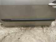 Zierleiste Tür Zier-Schutzleiste - Vorne Linke Renault Scenic, II 2003.06 - 2006.06 Gebraucht,