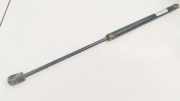 Gasdruckfeder Kofferraum Citroen C2, I 2003.09 - 2006.06 9638605280,9638605280