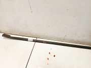 Zierleiste Leiste - Vorne Rechts Ford C-MAX, 2003.01 - 2007.06 3m51r20562,